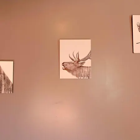 בקתה Montana 2- 4pers